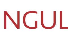 Companies I have worked with